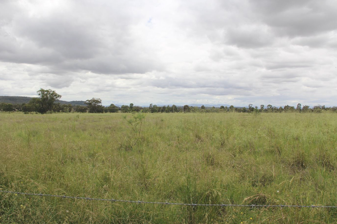 Image of Investment in a solar project located in Gunnedah, New South Wales, Australia