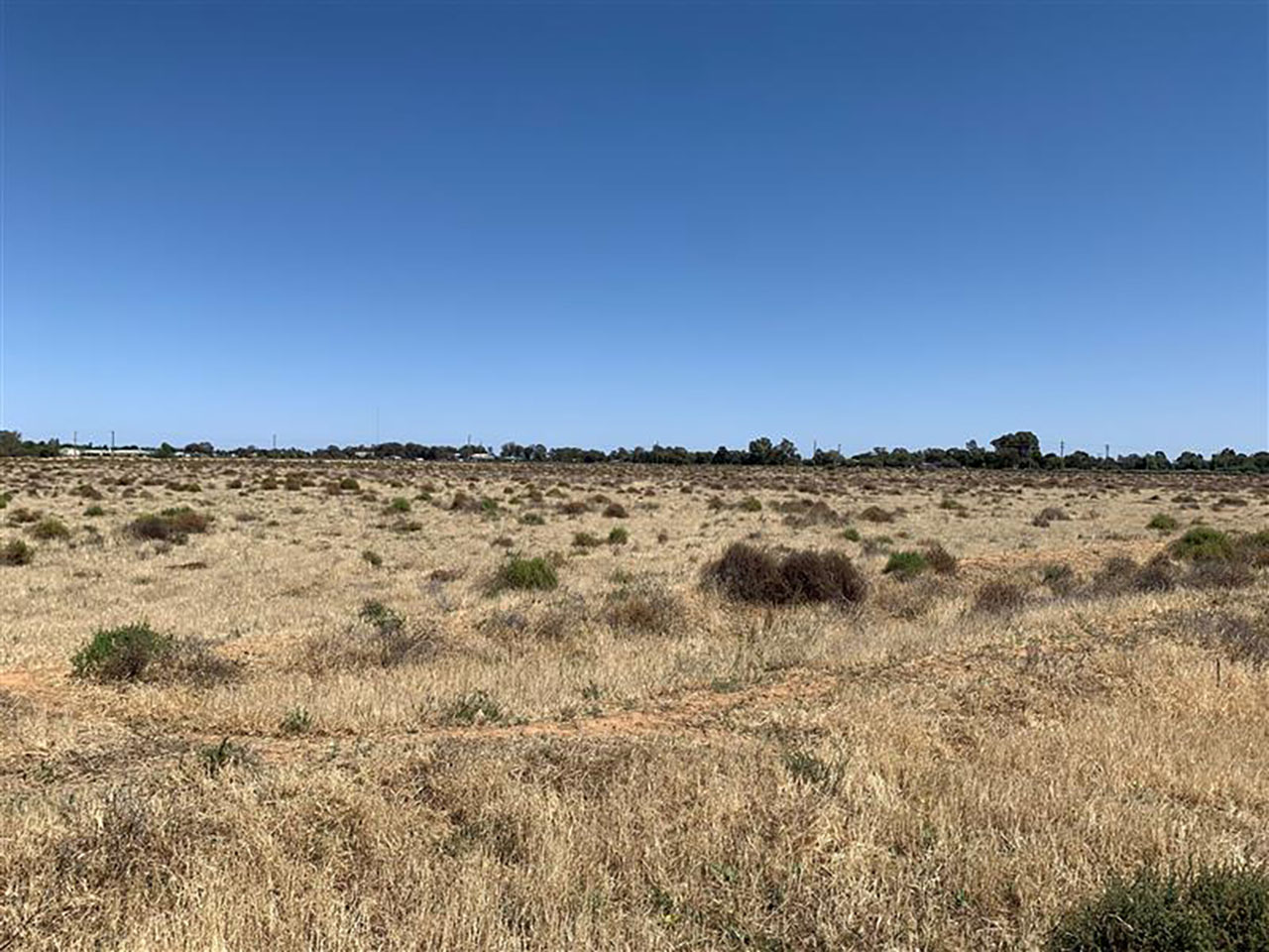 Image of Investment in a solar PV project located in Hay, New South Wales, Australia