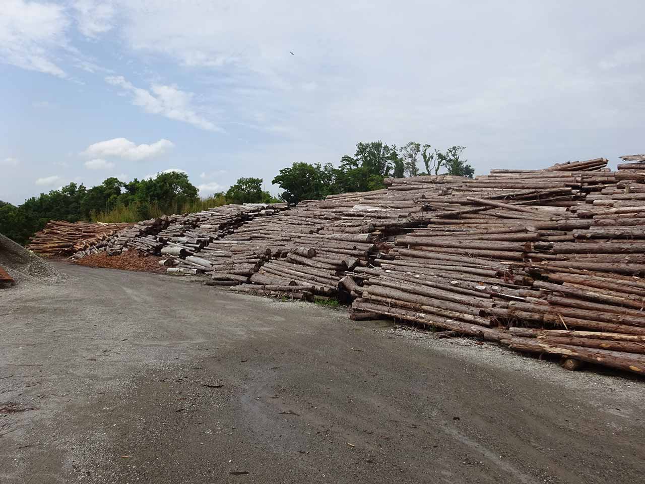 Image2 of Investment in a biomass power plant in Wakayama