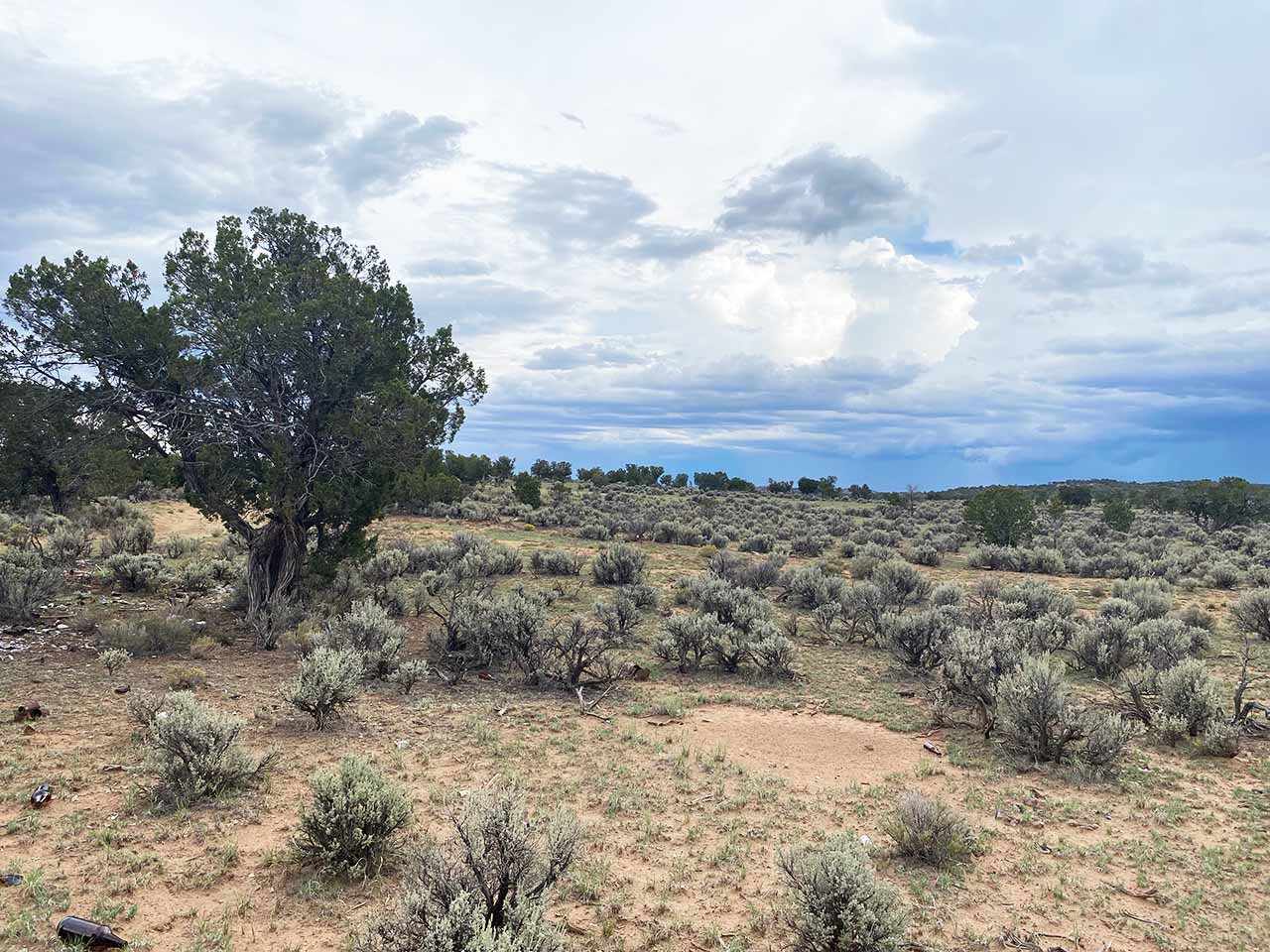 Image2 of A solar PV and BESS project under development in the United States